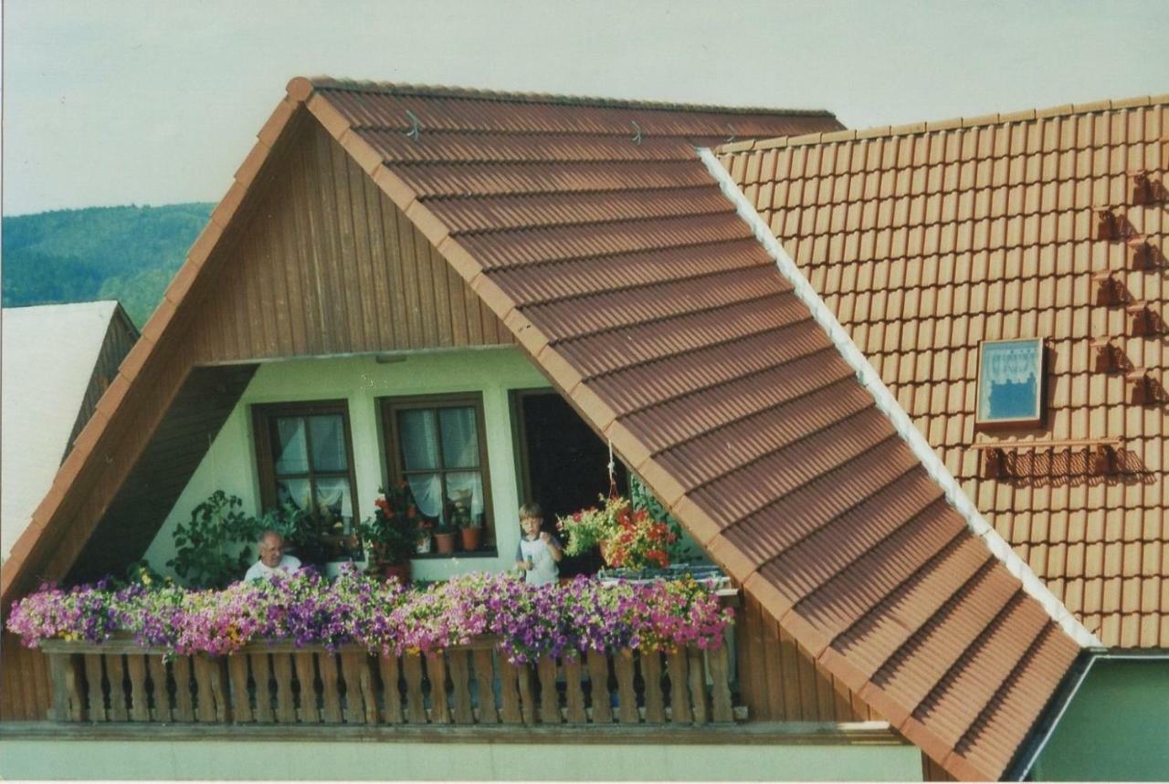 Fewomaurer Wg1 Dachgeschoss Altendorf  Ngoại thất bức ảnh